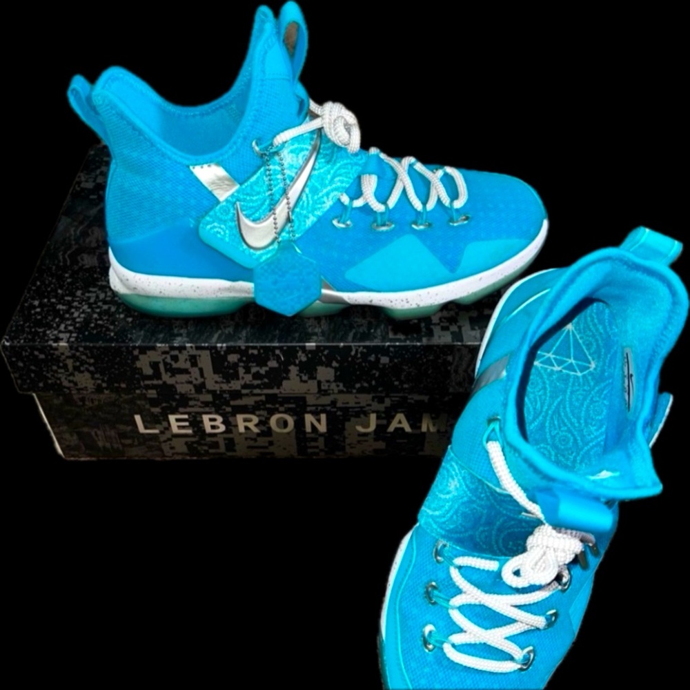 Nike Zoom LeBron XIV HWC (GS) Nature Boy (6.5Y) - Picture 1 of 7